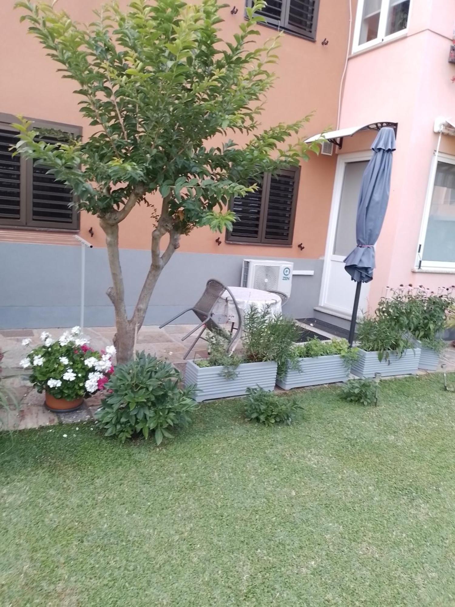 Apartman Olga Umag Exterior photo