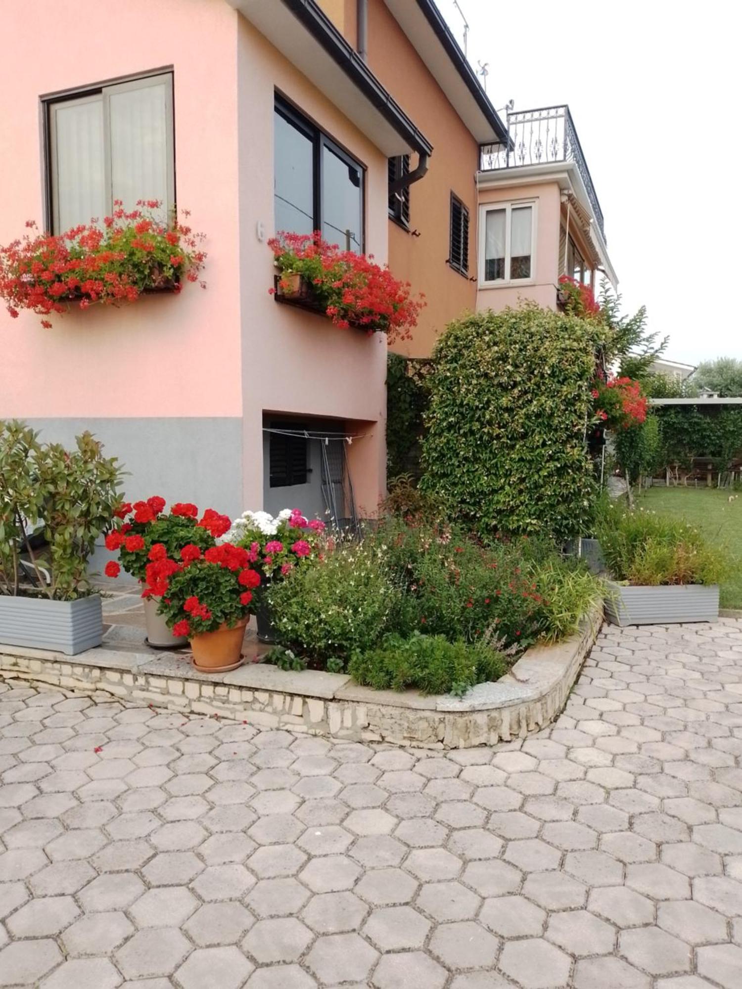 Apartman Olga Umag Exterior photo