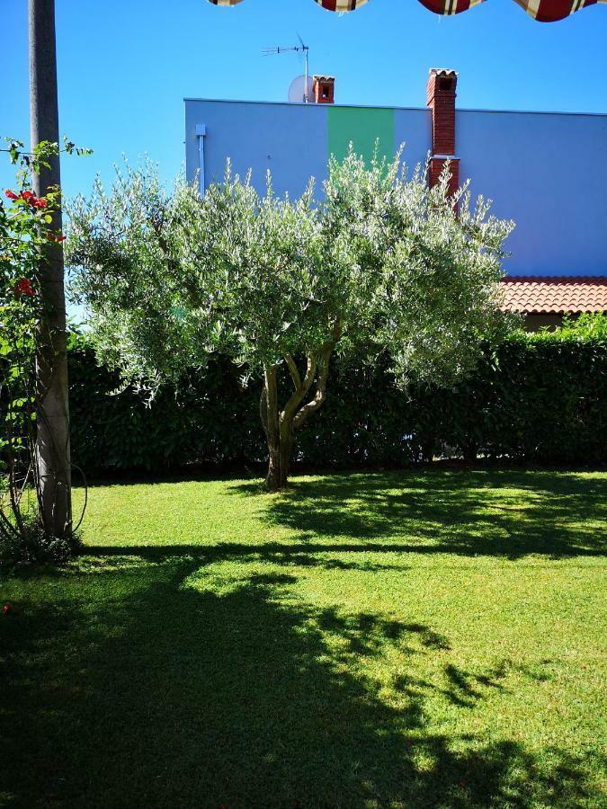 Apartman Olga Umag Exterior photo