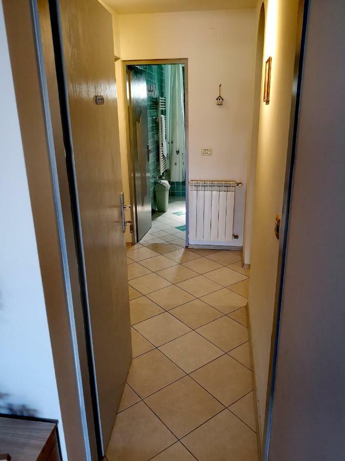 Apartman Olga Umag Exterior photo
